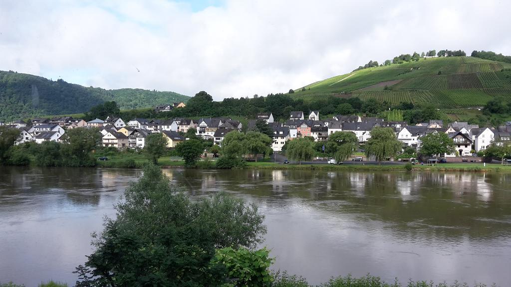 Mosel View Διαμέρισμα Zell an der Mosel Εξωτερικό φωτογραφία
