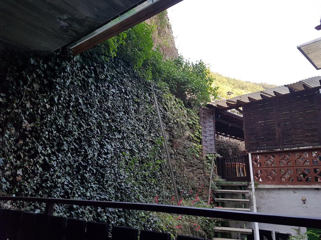 Mosel View Διαμέρισμα Zell an der Mosel Εξωτερικό φωτογραφία
